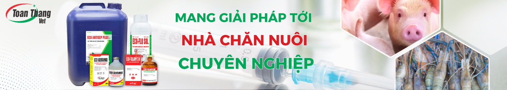 Toàn Thắng Ads